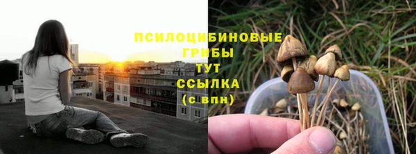 дмт Абаза