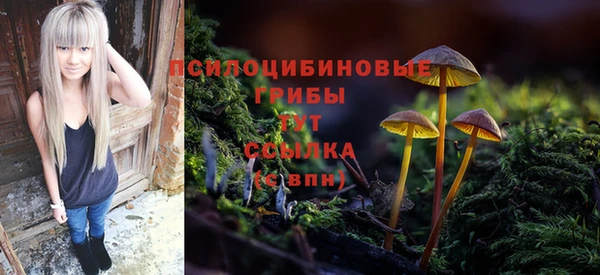 прущий лед Абдулино