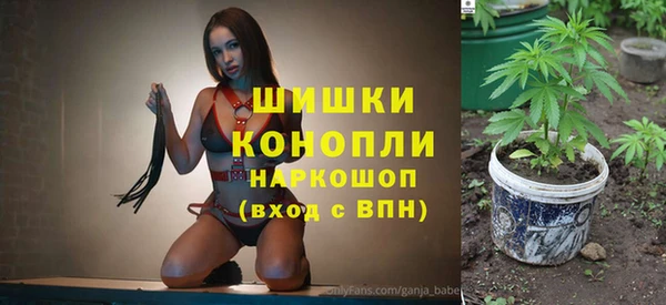 дмт Абаза